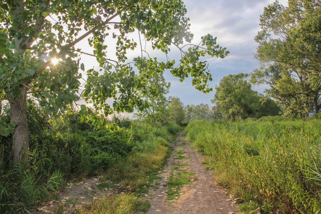 Padule di Fucecchio, Italy, Travel Drift