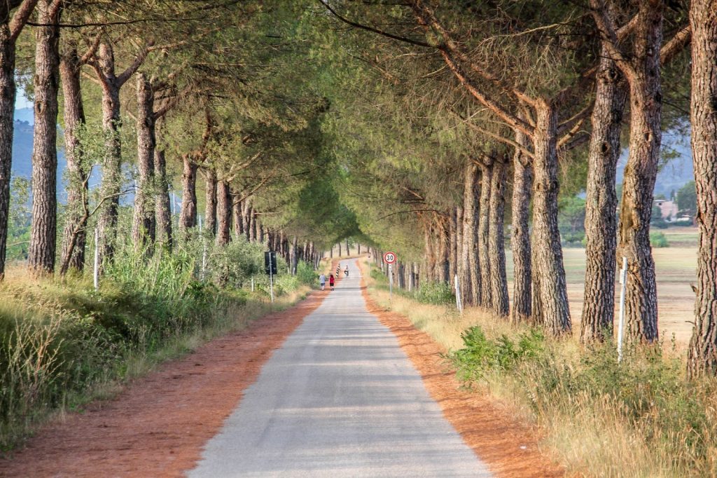 Padule di Fucecchio, Italy, Travel Drift