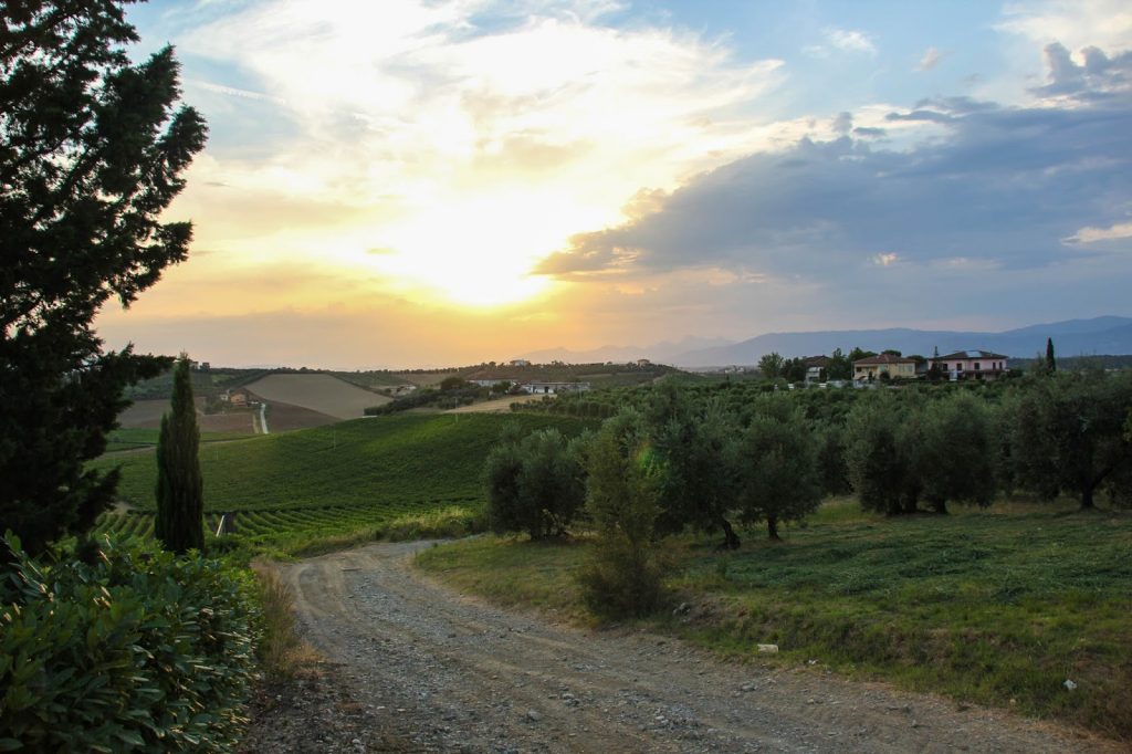 Padule di Fucecchio, Italy, Travel Drift