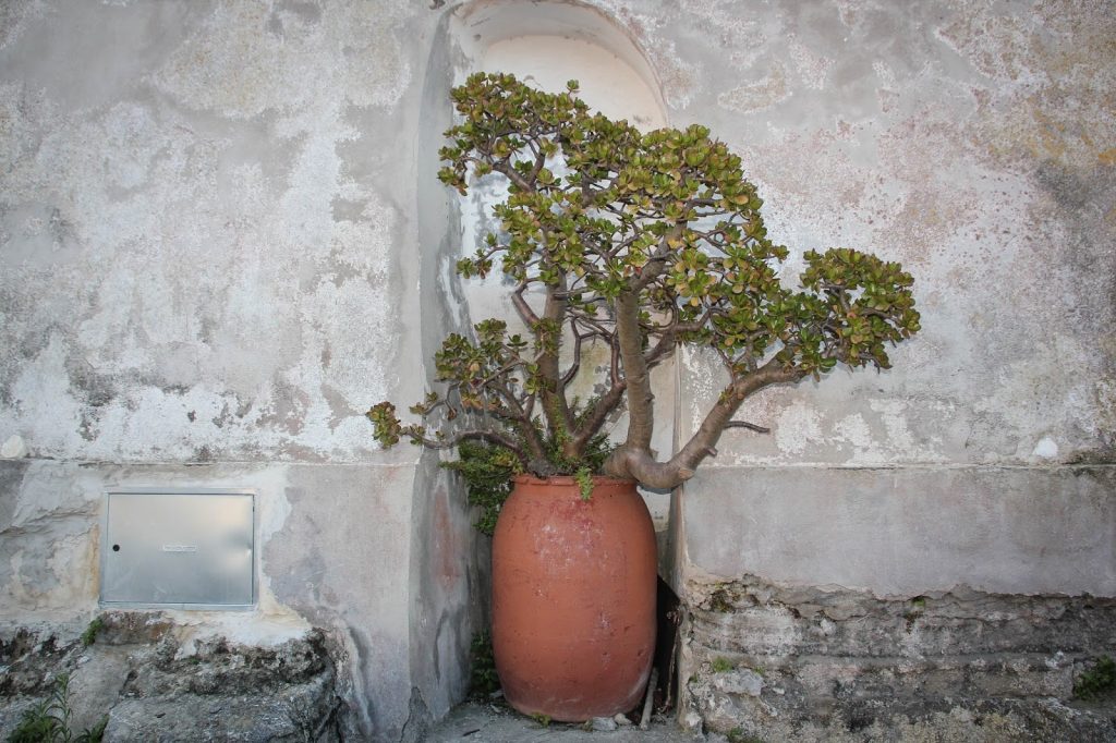 Procida, Italy, Travel Drift