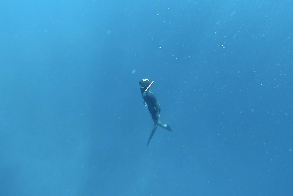 Komodo Nationalpark, Indonesia, Travel Drift