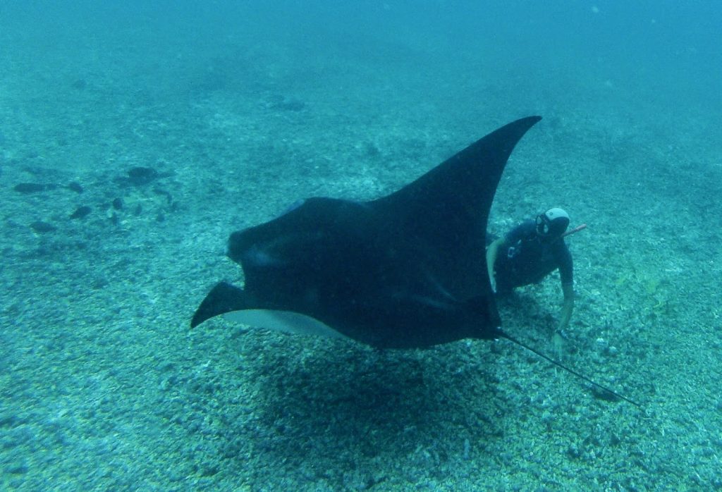 Komodo Nationalpark, Indonesia, Travel Drift