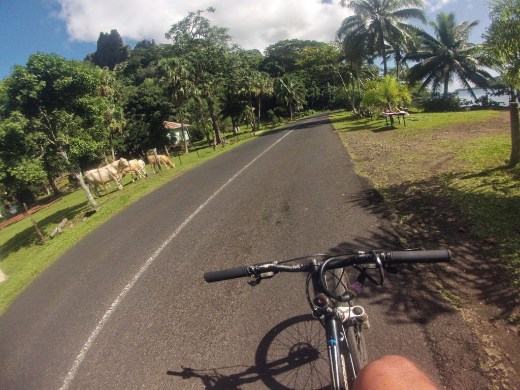 Moorea, French Polynesia, Travel Drift