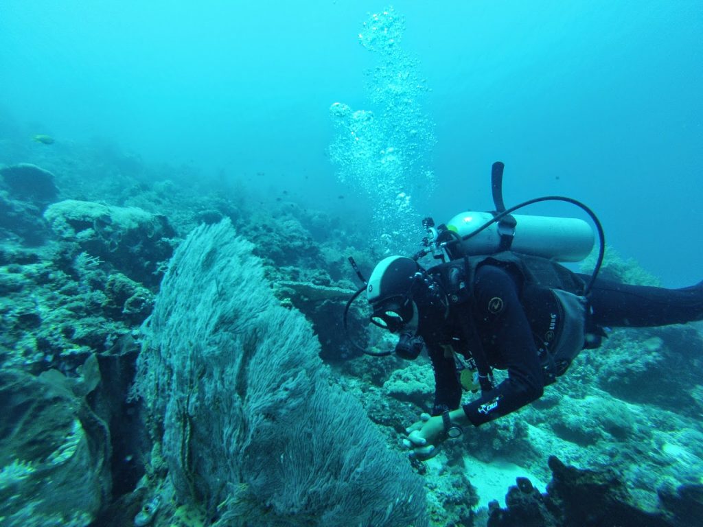 Komodo Nationalpark, Indonesia, Travel Drift