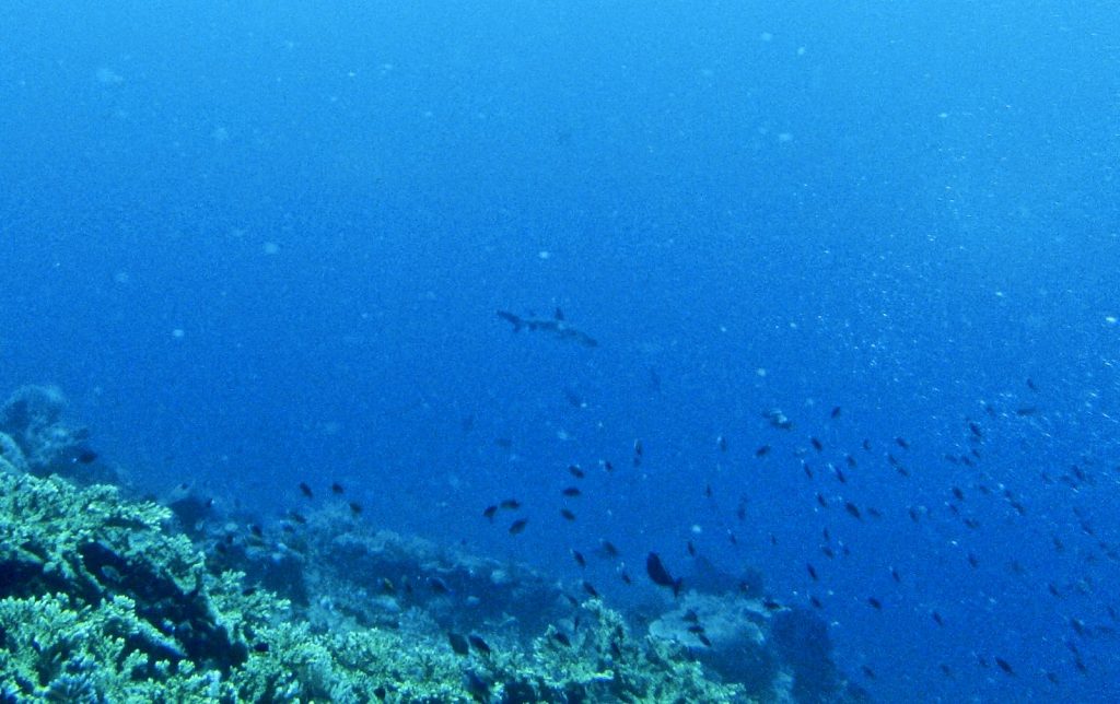 Komodo Nationalpark, Indonesia, Travel Drift