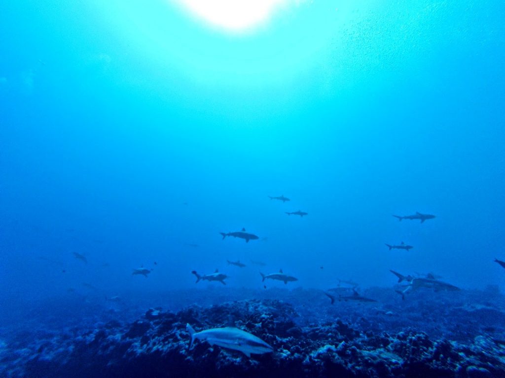 Fakarava, French Polynesia, Travel Drift