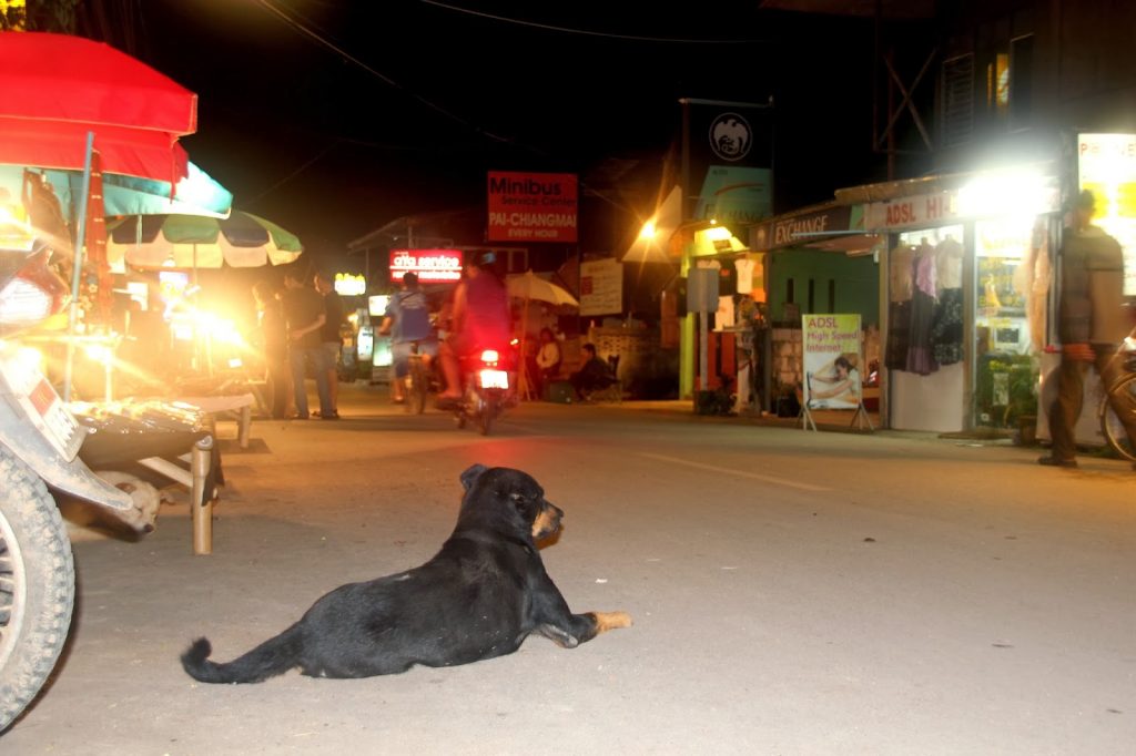 Pai, Thailand, Travel Drift