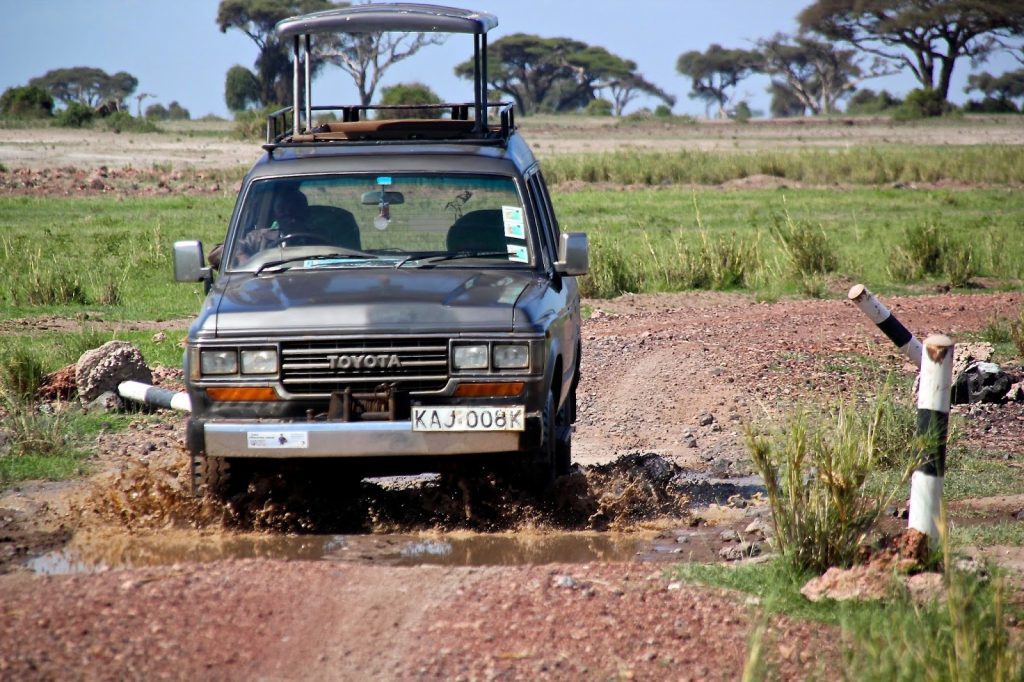 Amboseli Nationalpark, Kenya, Travel Drift