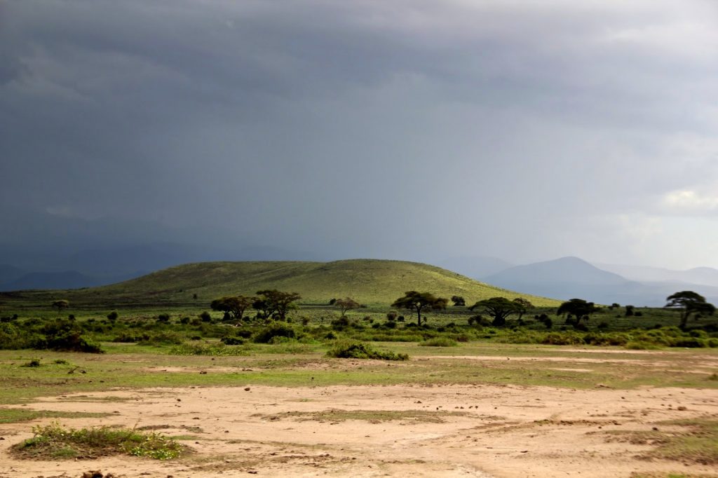 Amboseli Nationalpark, Kenya, Travel Drift