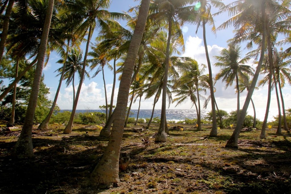 Fakarava, French Polynesia, Travel Drift