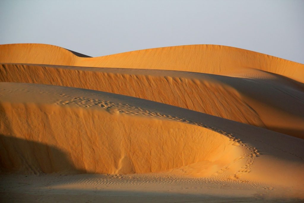 Liwa Oasis, Emirates, Travel Drift