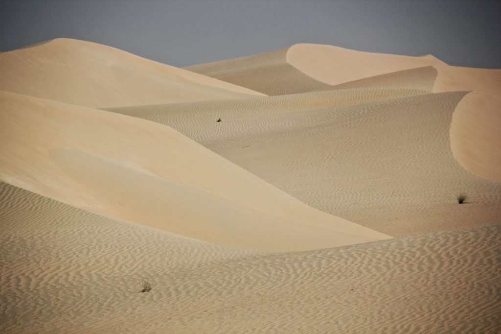 Liwa Oasis, Emirates, Travel Drift