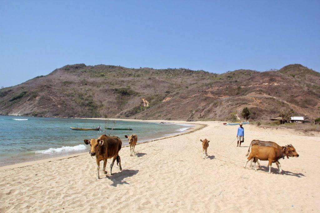 Lombok South, Indonesia, Travel Drift