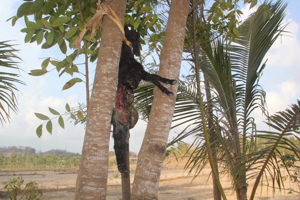 Lombok South, Indonesia, Travel Drift