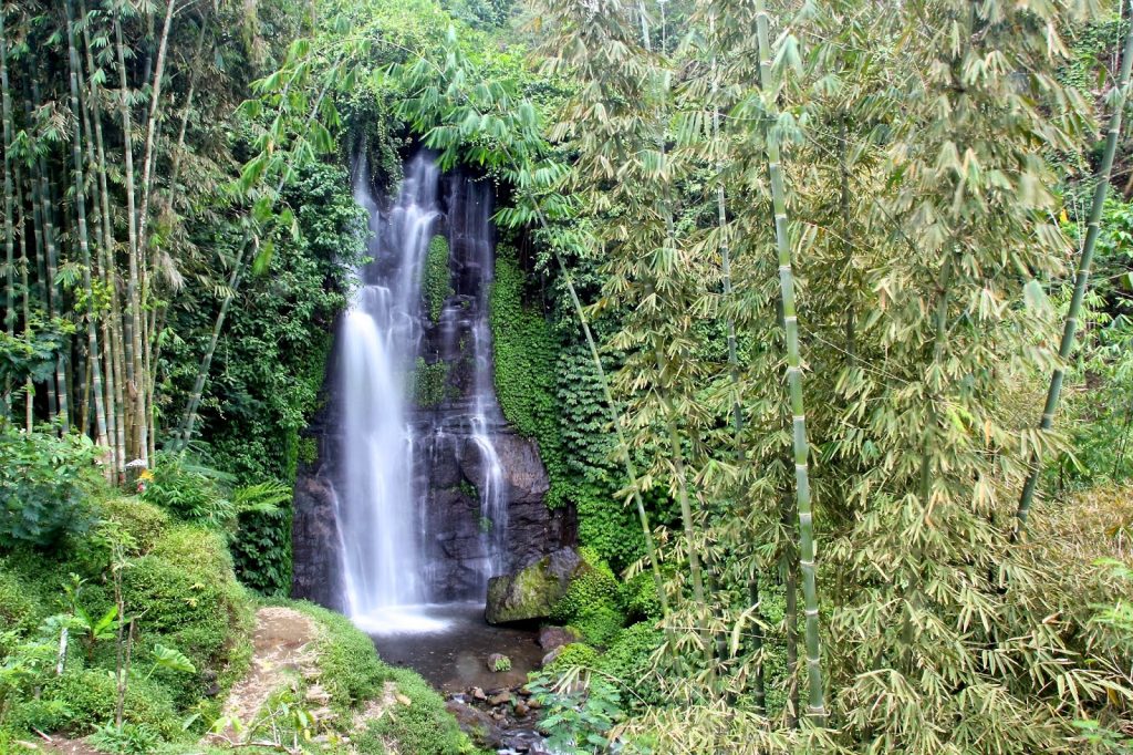 Bali Central, Indonesia, Travel Drift