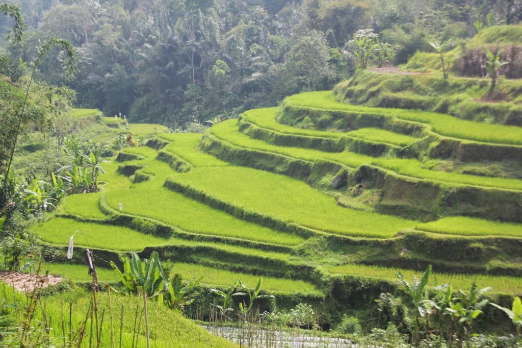 Bali Central, Indonesia, Travel Drift