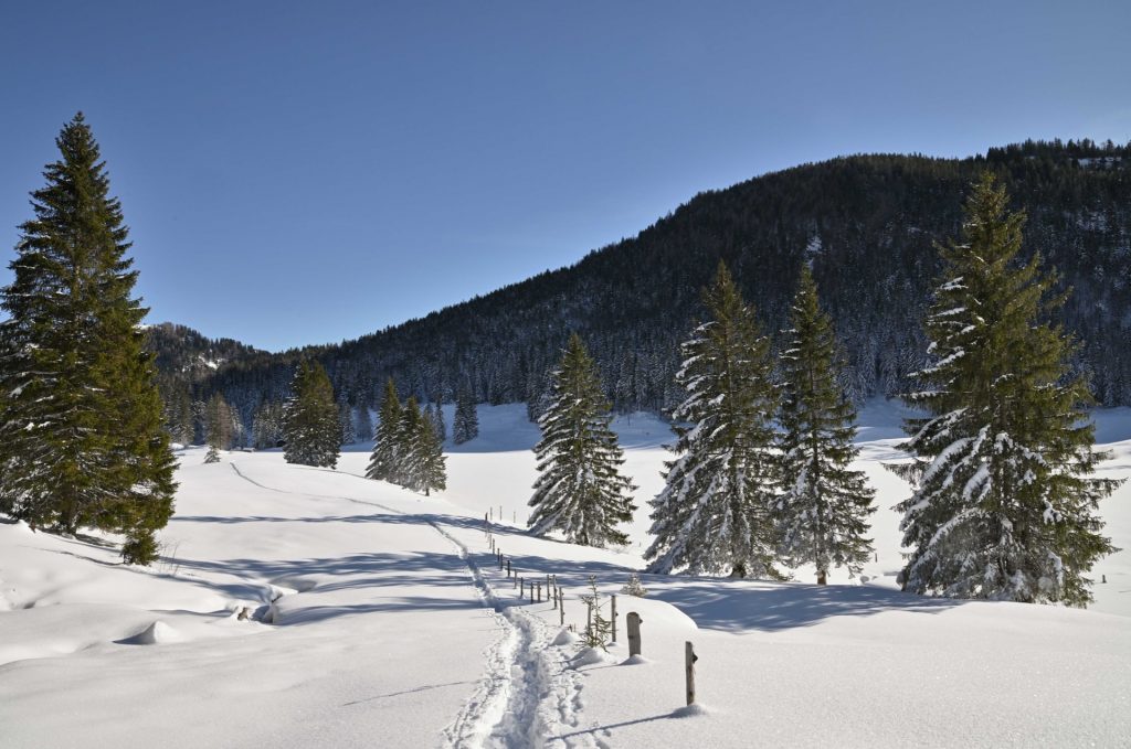 Seewaldsee, Austria, Travel Drift