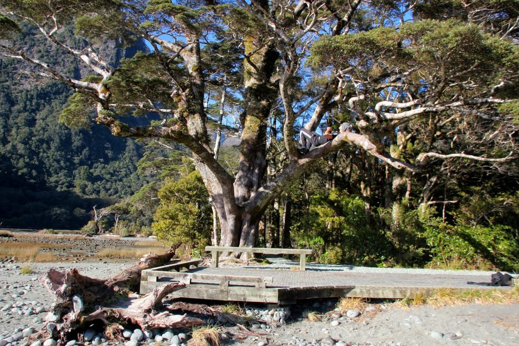 Milford Sound, New Zealand, Travel Drift