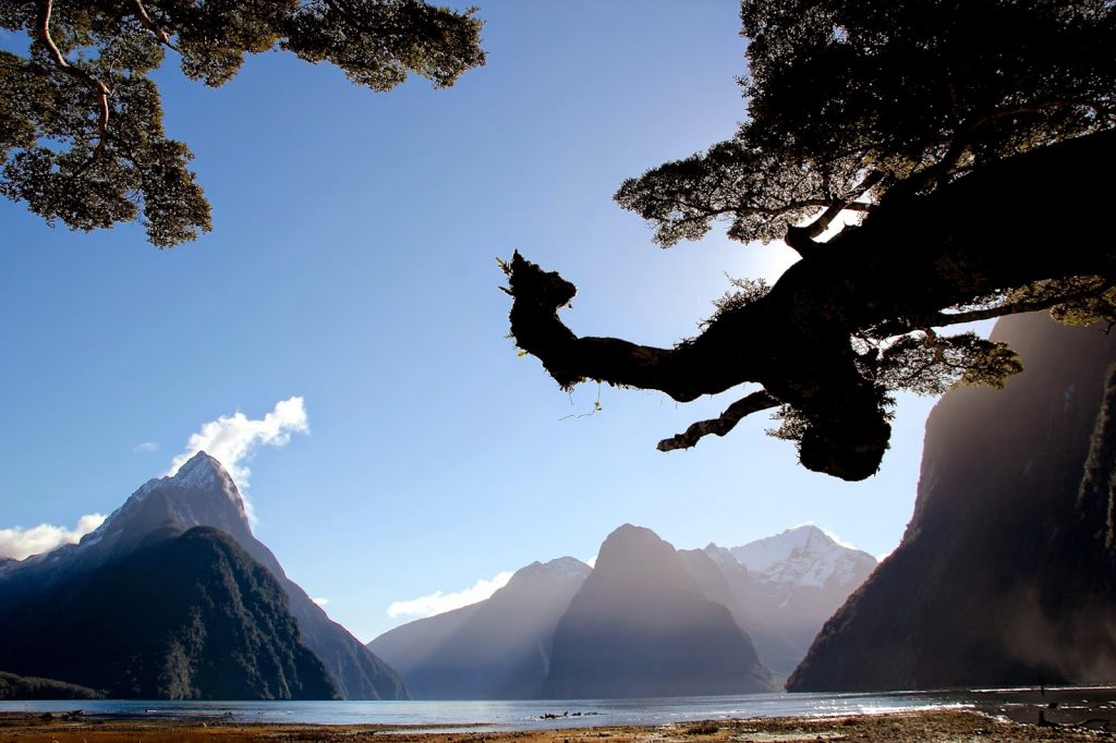 Milford Sound, New Zealand, Travel Drift