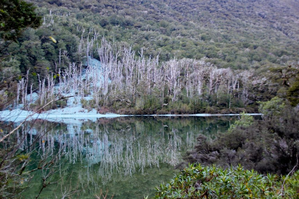 Milford Sound, New Zealand, Travel Drift