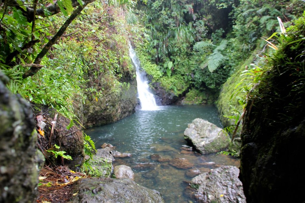 Karamatura Trek, New Zealand, Travel Drift