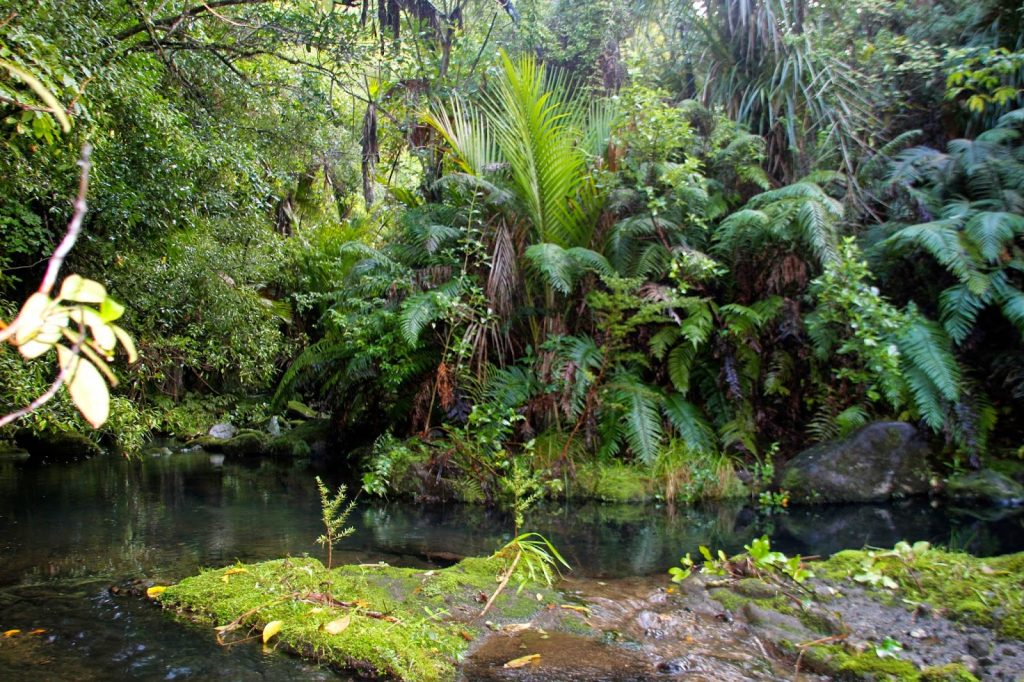 Karamatura Trek, New Zealand, Travel Drift