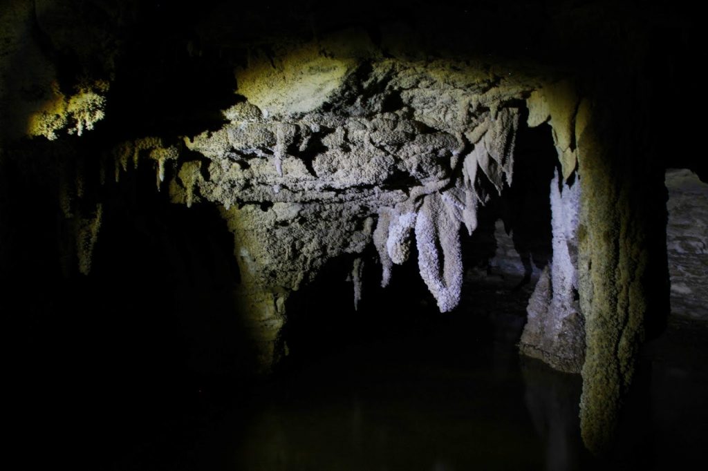 Waitomo Caves, New Zealand, Travel Drift