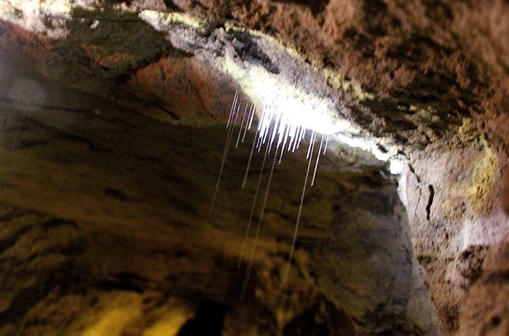 Waitomo Caves, New Zealand, Travel Drift