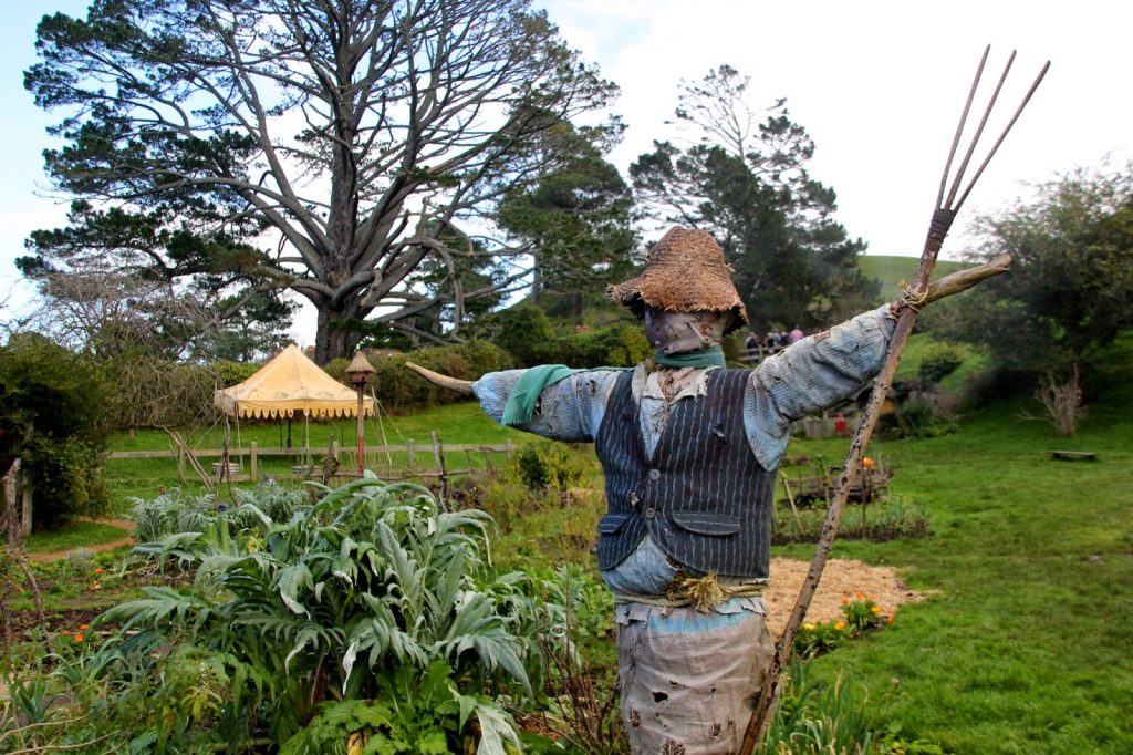 Hobbiton, New Zealand, Travel Drift