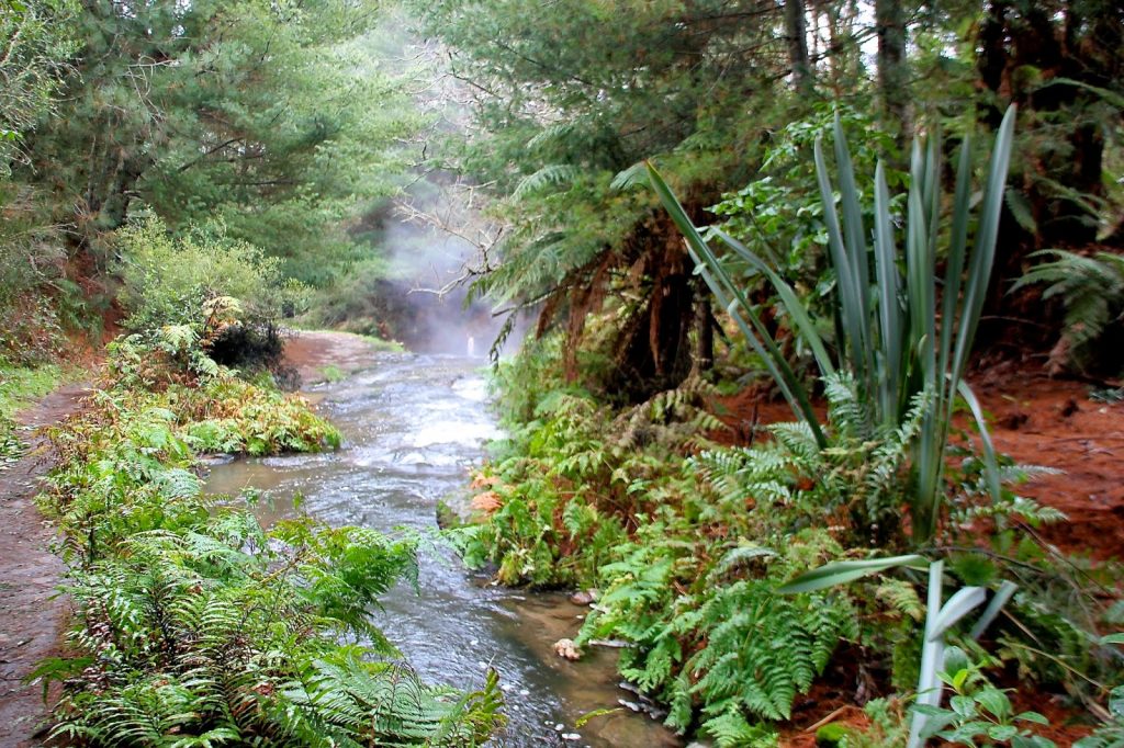 Kerosene Creek, New Zealand, Travel Drift