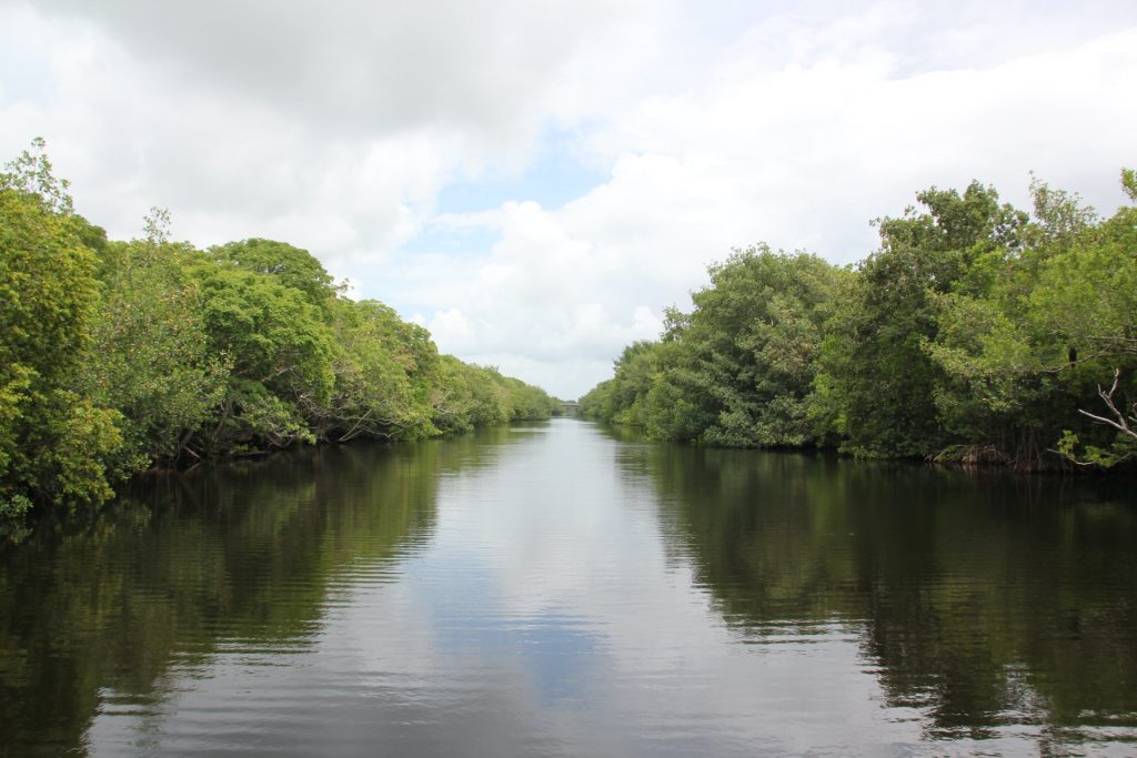 Everglades Nationalpark, USA, Travel Drift