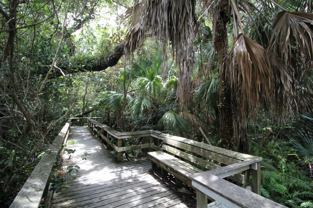 Everglades Nationalpark, USA, Travel Drift
