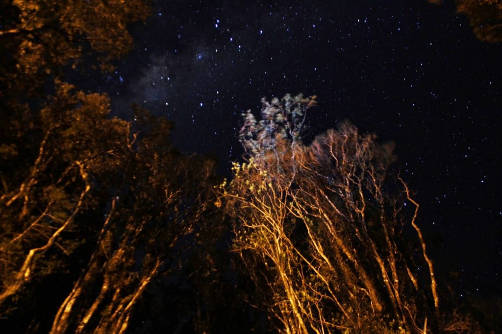 Westcoast, Picton and Franz Josef, New Zealand, Travel Drift