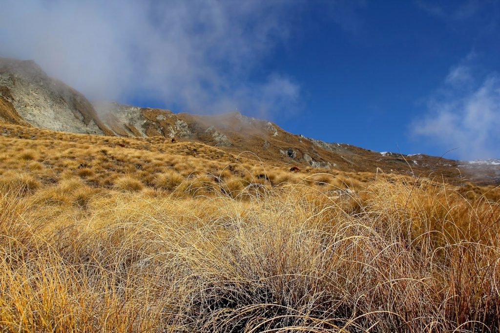 Wanaka, New Zealand, Travel Drift