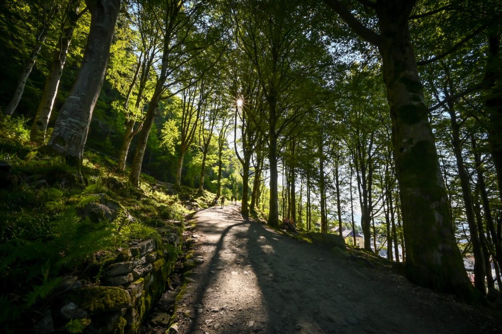 Bergen, Norway, Travel Drift