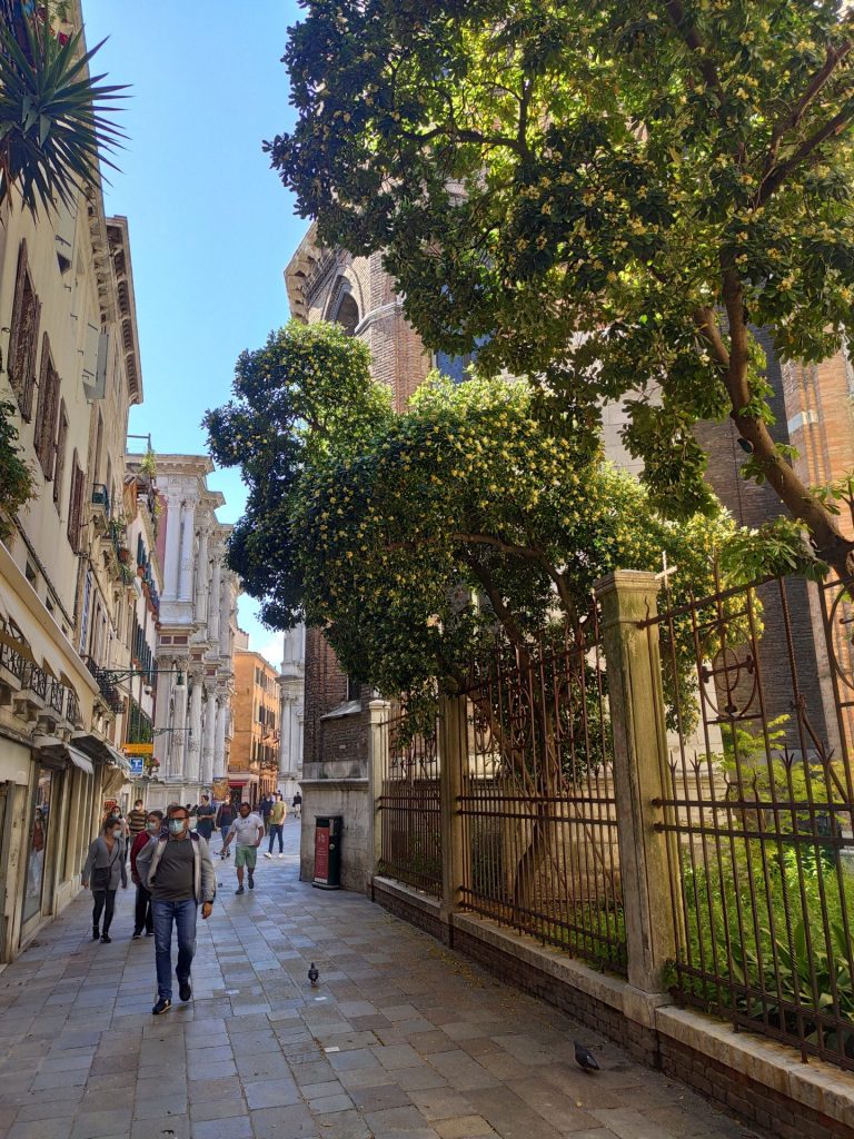 Venedig, Italy, Travel Drift