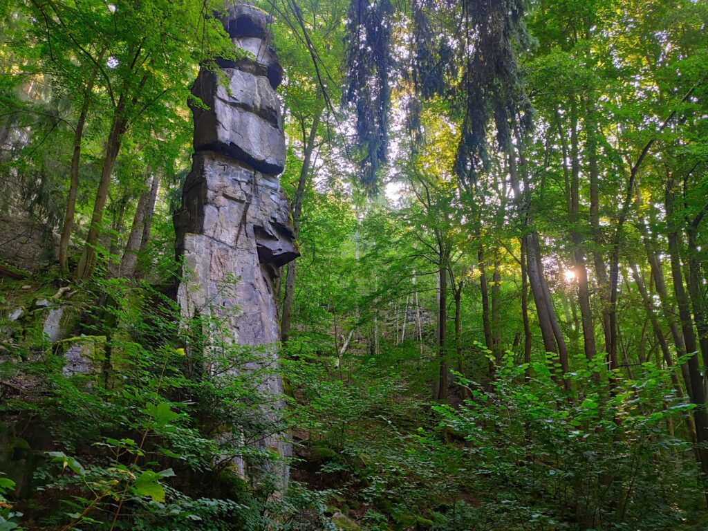 Slavkovsky les, Czech, Travel Drift