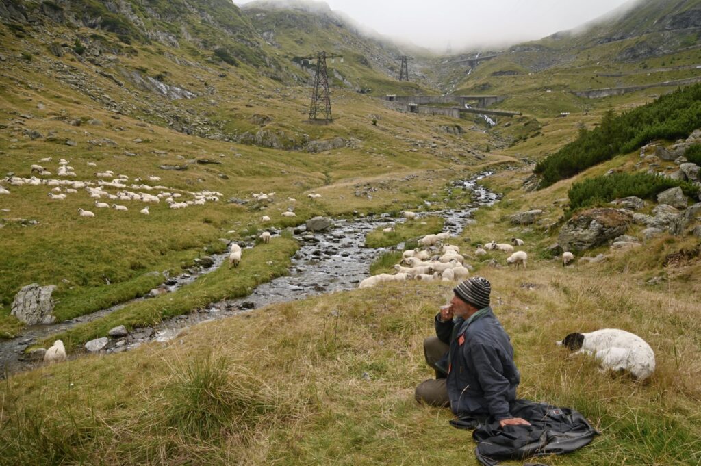 Transfagarasan, Romania, Travel Drift