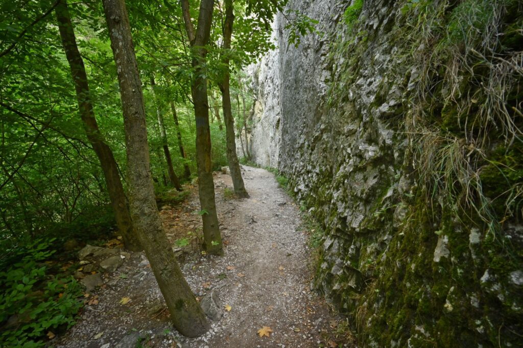 Cheile Turzii, Romania, Travel Drift