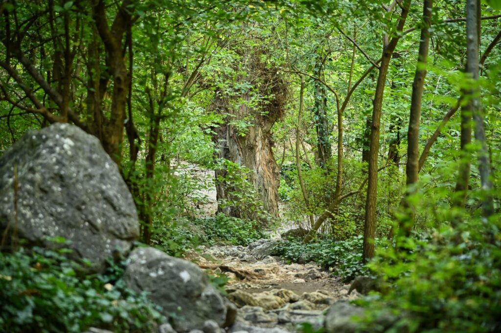 Cheile Turzii, Romania, Travel Drift