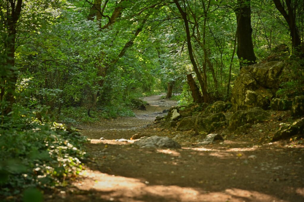 Cheile Turzii, Romania, Travel Drift