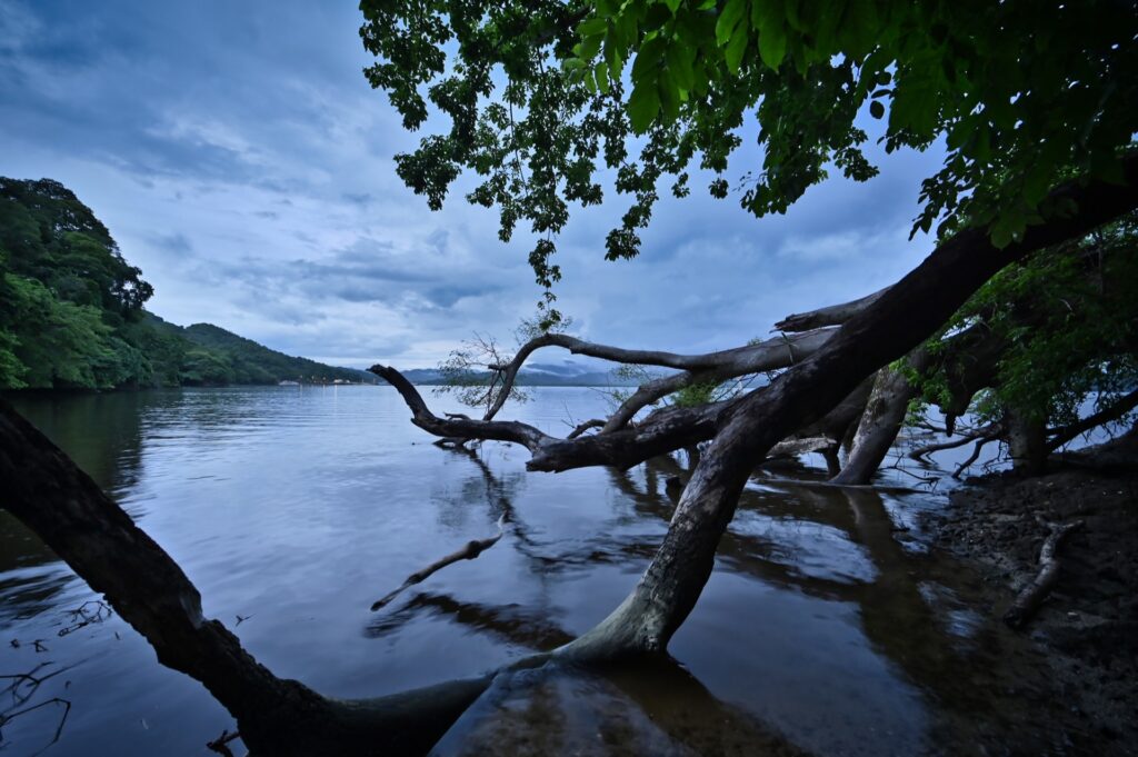 Punta Cuchillo, Costa Rica, Travel Drift