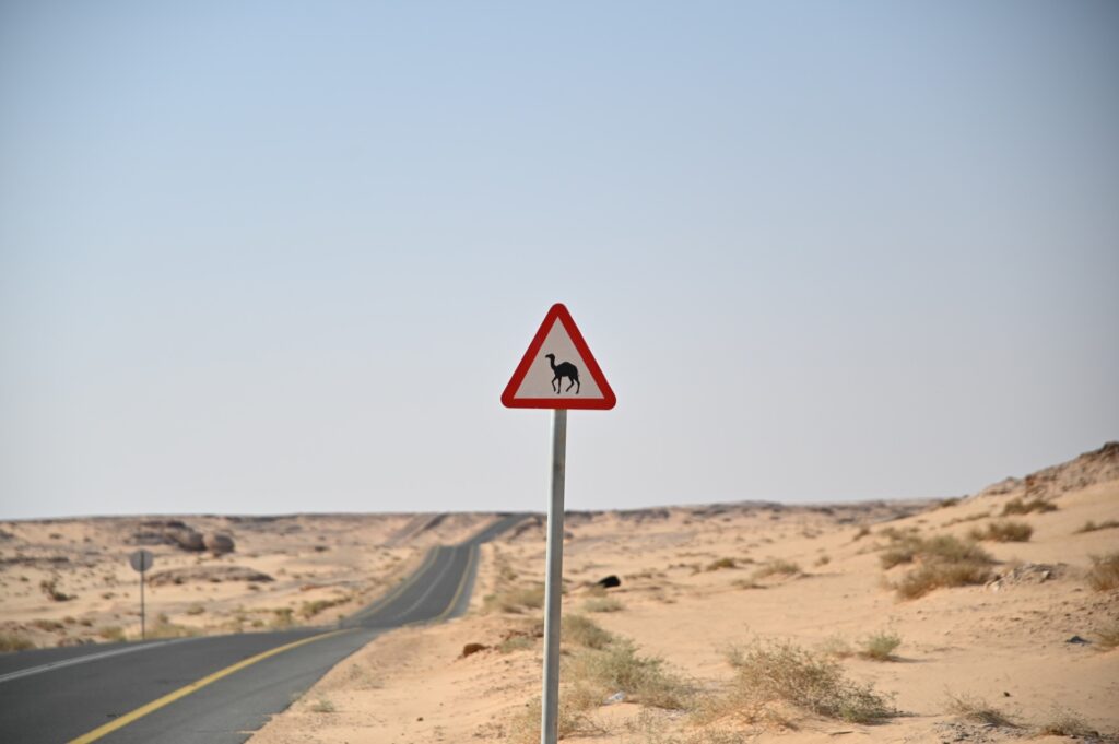 Al Naslaa, Saudi Arabia, Travel Drift