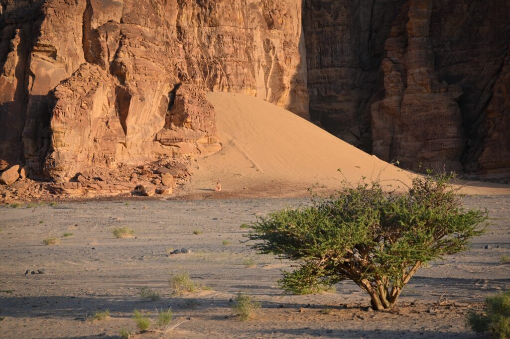 al Uhla, Saudi Arabia, Travel Drift