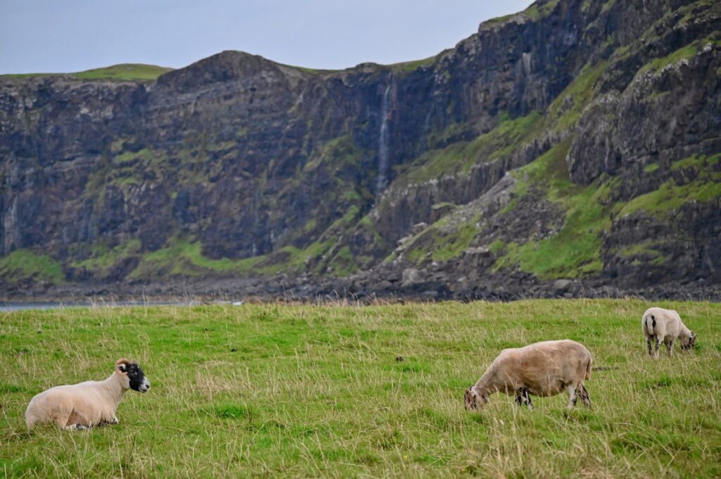 Isle of Skye (Süd), Schottland, Travel Drift