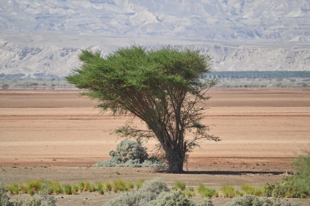 Jordanien_Totes Meer