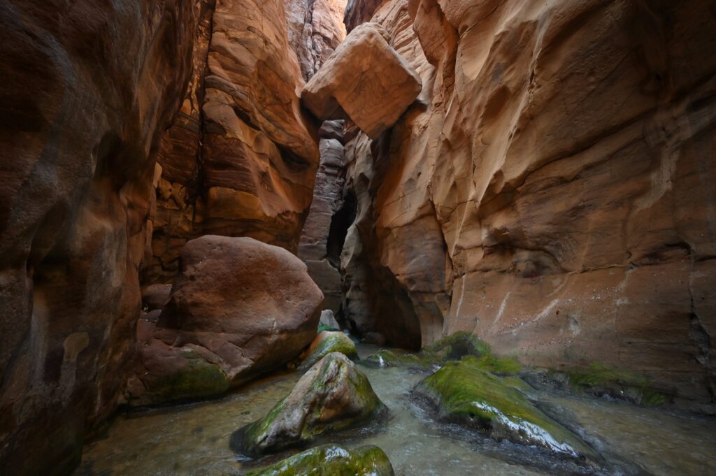 Jordanien_Wadi Mujib