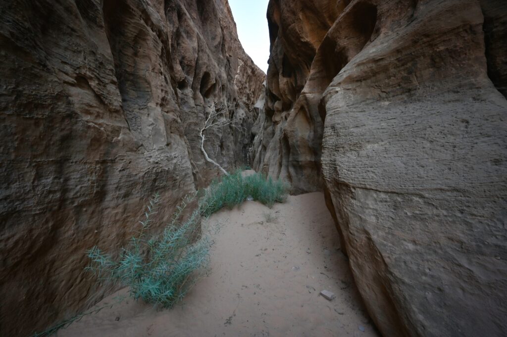 Jordanien_Wadi Rum