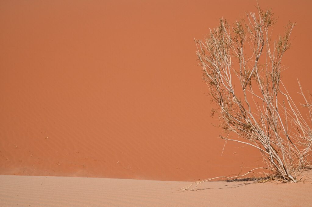 Jordanien_Wadi Rum