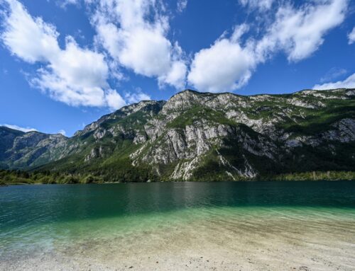 Bohinj See